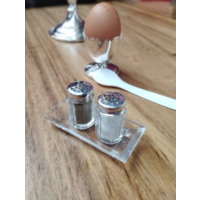 Mini Salzstreuer Universalstreuer für den stilvoll gedeckten Tisch 1